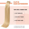 Picture of UGOTRAYS Light Honey Blonde Clip in Human Hair Extensions 7pcs 12inch 70g Straight 9A #27 Real Human Hair Clip Ins 16clips for Women Fashion