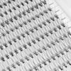Picture of 10D Lash Clusters, Individual Lashes, 240 Pcs Individual Lash Extensions, Volume Soft Lightweight Reusable DIY Eyelash Extensions, Thickness 0.07mm C Curl False Eyelashes 12/13/14/15/16mm