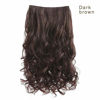 Picture of REECHO 14" 1-Pack 3/4 Full Head Wavy Clips in on Synthetic Hair Extensions HE008 Hairpieces for Women 5 Clips 3.6 Oz per Piece - Dark Brown