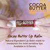 Picture of Nature's Bees - Cocoa Butter Lip Balm Moisturizer - Tropical 24 Pack, 4 Flavors - Citrus, Coconut, Cherry, & Mint - Made w/Coconut Oil, Beeswax, Vitamin E, Aloe, Shea Butter - 0.15oz (4.2g)