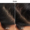 Picture of OUAI Anti Dandruff Shampoo - Soothing Salicylic Acid Shampoo for Flaky, Dry and Itchy Scalp - Reduces Itching, Redness and Irritation - Sulfate Free Scalp Care (10 Fl Oz)