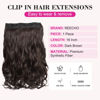 Picture of REECHO 16" 1-Pack 3/4 Full Head Curly Wavy Clips in on Synthetic Hair Extensions HE008 Hairpieces for Women 5 Clips 3.9 Oz per Piece - Dark Brown
