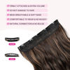 Picture of REECHO 20" 1-pack 3/4 Full Head Curly Wave Clips in on Synthetic Hair Extensions HE008 Hair pieces for Women 5 Clips 4.5 Oz Per Piece - Chocolate Brown with Highlights