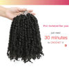 Picture of The BOHOBABE Pre-twisted Passion Twist Crochet Hair 10 Inch Short Pre-looped Crochet Passion Twist Braiding Hair 2 Packs (1#)