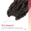 Picture of The BOHOBABE Pre-twisted Passion Twist Crochet Hair 10 Inch Short Pre-looped Crochet Passion Twist Braiding Hair 2 Packs (4#)