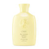 Picture of Oribe Hair Alchemy Resilience Shampoo, 2.5 oz