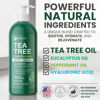 Picture of KESMEDIK Tea Tree Body Wash | Antibacterial & Antifungal Defense Whole-Body Wash for Odors, Athlete's Foot, Ringworm, Acne, and Eczema Relief. Refreshes and Soothes Itchy Skin - 16 Fl Oz