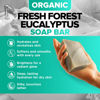 Picture of Fresh Forest Eucalyptus Soap Bar (2 Pack) with Spearmint for an Invigorating and Soothing Cleanse - Face & Body Wash Soap - Infused with Shea Butter for Rich Creamy Lather & Long-Lasting Freshness