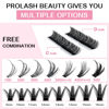 Picture of 280 Pcs Individual Lashes 40D+50D Mixed Lash Clusters 14 Rows Cluster Lashes that Look Like Eyelash Extensions DIY Lash Extension Self Application At Home (40+50-C-9-16mix)