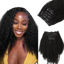 Picture of Lashey Afro Kinky Curly Seamless Clip in Hair Extensions Human Hair 24 Inch 110g 7pcs Remy Human Hair Extension Clips for Black Women