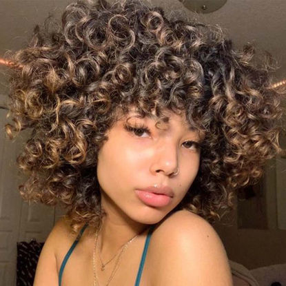 Picture of AIDUSA Short Loose Curly Wigs for Black Women Ombre Blonde Wig for Black Women Curly Wig Afro Wigs Synthetic Wig with Bangs Half Wigs for Women Soft Hair Blonde Wigs (#T30 Black to Light Brown)