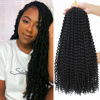 Picture of Dansama Passion Twist Hair Water Wave Braiding Hair for Butterfly Style Crochet Braids Bohemian Hair Extensions (18inch (Pack of 7), #1)