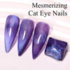 Picture of Imtiti Cat Eye Gel Nail Polish, 15ML Purple Holographic Glitter Cat Eye Gel Polish with Magnet UV LED Magnetic Gel Nail Polish Crystal Galaxy Sparkly Home DIY Manicure Nail Salon Kit