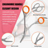 Picture of LePinko Eyebrow Trimming Scissors with Combs, Gifts For Men Women Stocking Stuffers, Gray