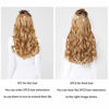 Picture of REECHO 20" 1-Pack 3/4 Full Head Curly Wave Clips in on Synthetic Hair Extensions HE008 Hairpieces for Women 5 Clips 4.5 Oz per Piece - Linen