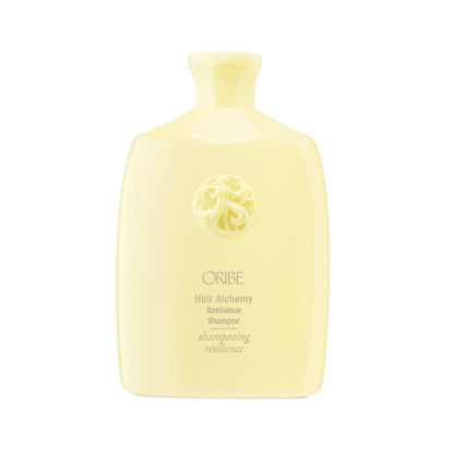 Picture of Oribe Hair Alchemy Resilience Shampoo, 8.5 fl. oz.