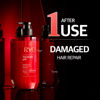 Picture of RYO Damage Care & Nourishing Shampoo with Korean Ginseng & Caffeine - Repair and Moisturizing, Anti Loss Care, Strengthening hair roots, 16.2 Fl Oz.