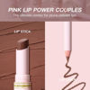 Picture of USHAS Lipstick and Lip Liner Combo Set 2 in 1 Waterproof Lipstick for Women Lip liner Set Long Lasting Lipstick, Matte Lipstick Pen with Lip Liner Set Makeup Kits (S9, Pack of 1)