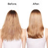 Picture of L'Oreal Professionnel Absolut Repair Shampoo | Protein Hair Treatment | Repairs Damage & Provides Shine | With Quinoa & Proteins | For Dry Damaged Hair