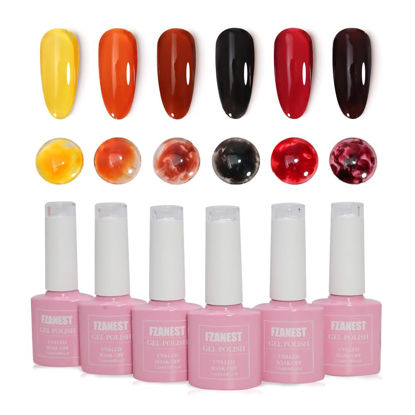 Picture of FZANEST Fall Gel Nail Polish Colors Set,Jelly Brown Gel Polish Nail Crystal Transparent Yellow Orange Blood Red Dark Wine Gel Polish Kit Manicure DIY Nail Art Home Salon for Women