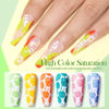 Picture of Born Pretty Nail Art Stamping Polish Holographic Chameleon Effect Fingernail Stamp Polish Set Manicure Print Nail Polish for Stamping Plates 24 Colors Bulk Nail Polish Set Gift Collection