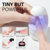 Picture of AILLSA Almond Nail Kit with U V Lamp 240pcs Short Gel Nail Tips and Glue Gel Kit with 2 in 1 Nail Glue Base Top Coat and Nail Dehydrator for Beginners DIY Home Salon