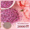 Picture of 5000PCS 3mm Resin Rhinestones in Bulk (Hot Pink), Bedazzling Flatback Crystals for Crafts DIY Nail Decoration, Gems Charms for Tumbler Shoes Clothing Fabric with Pickup Pen and Tweezers