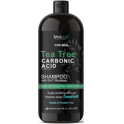 Picture of Vanidox Tea Tree Shampoo with Organic Tea Tree Oil and Carbonic Acid - For Men's Itchy and Dry Scalp, Fights Hair Loss, Stimulates Growth - With DHT Blockers (16 FL Oz)