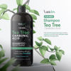 Picture of Vanidox Tea Tree Shampoo with Organic Tea Tree Oil and Carbonic Acid - For Men's Itchy and Dry Scalp, Fights Hair Loss, Stimulates Growth - With DHT Blockers (16 FL Oz)