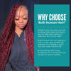 Picture of Human Braiding Hair 3 Bundles/Pack 150g Burgundy 99J Curly Water Wave Human Bulk Hair for Braiding No Weft 10A Brazilian Virgin Human braiding Hair for Boho Braids Extensions (Burgundy 99J, 14 inch)