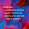 Picture of Method Volumizing Shampoo, Pure Peace with Rose, Peony, and Pink Sea Salt Scent Notes, Paraben and Sulfate Free, 14 oz (Pack of 3)