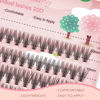 Picture of 20D Lash Clusters, 240pcs Individual Lash Extensions 20D Volume Cluster Lashes, 8-12mm Mix Lengths C Curl 0.07mm Thickness eyelash Individual Cluster Lashes Apply Under your Lashes(8/9/10/11/12mm)