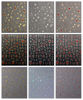 Picture of JMEOWIO 9 Sheets Moon Star Nail Art Stickers Decals Self-Adhesive Pegatinas Uñas Sun Nail Supplies Nail Art Design Decoration Accessories