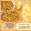 Picture of 2500PCS 5mm Resin Rhinestones in Bulk (Gold), Bedazzling Flatback Crystals for Crafts DIY Nail Decoration, Gems Charms for Tumbler Shoes Clothing Fabric with Pickup Pen and Tweezers