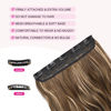 Picture of REECHO 20" 1-pack 3/4 Full Head Curly Wave Clips in on Synthetic Hair Extensions HE008 Hair pieces for Women 5 Clips 4.5 Oz Per Piece - Chocolate Brown with Blonde Highlights