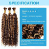 Picture of Ombre Human Braiding Hair Water Wave Bulk Human Hair 150g 16 Inch P4/27 Curly Human Hair for Boho Braids Hair Extensions No Weft 3 Braids Per Pack Wet and Wavy Human Hair Braiding Hair Highlight