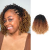 Picture of Toyotress Yanky Twist Crochet Hair - 8 Inch 8 Packs (30 Strands/Pcs) Pre-twisted Fluffy Spring Mini Twist Short Bob Passion Twist, 3 Tones Ombre Brown Crochet Braids Braiding Hair (8 Inch, OT30/27-8P)