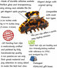 Picture of Big Claw Hair Clips for Women Girls Tortoise Hair Jaw Clips Large Hair Claw Clamps Celluloid Hair Clasp 2 Pack