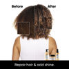 Picture of L'Oreal Professionnel Absolut Repair Hair Mask | Protein Hair Treatment | Repairs & Nourishes Dry, Damaged Hair | With Quinoa & Proteins | Adds Shine | Medium to Thick Hair Types