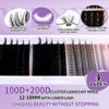 Picture of Lash Clusters With Bottom Lashes 356PCS 100D/200D Multi-types Fluffy Lash Clusters C/D Curl Wispy Individual Lashes Spike Volume Cluster Eyelash Extensions By Wendy Lashes(100/200D-0.07D)