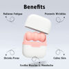 Picture of Ice Roller for Face and Eyes - Facial Skin Care Tools with 2 in 1 Face Roller and Travel Case, Self Care Gift for Men Women (Pink)