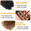 Picture of Aksice 10 Inch Yanky Twist Crochet Hair Pre-looped 8 Packs Ombre Brown Spring Twists Hair Senegalese Twist Crochet Hair with Curly Ends Synthetic Crochet Braids (1B/30#)