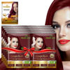 Picture of Herbishh Argan Hair Mask Shampoo - Natural Hair Dye for Gray Hair - Long-Lasting Color in Minutes - Travel Size - Ammonia-Free - 10+1 Pack (Grape Red)