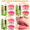 Picture of evpct 3Pcs Aloe Vera Peach Avocado Tinted Lip Balms Tint Stain Lipstick for Women Girls PH Color Changing Lipstick Balm Stain Gift Set Queen Korean Mood Long Lasting Color Change Light Pink Lipstick