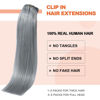 Picture of UGOTRAYS Silver Grey Clip in Hair Extensions Real Human Hair 70G Gray Remy Human Hair Clip in Extensions 20 Inch Soft Silky Straight for Full Head 7pcs 16clips One Pack (20 Inch #Silky/Gray)