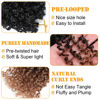 Picture of Aksice 10 Inch 8 Packs Yanky Twist Crochet Hair for Women Pre-looped Mini Twist Hair Bohemian Passion Twist Crochet Hair Boho Crochet Synthetic Hair (1B/4/30)