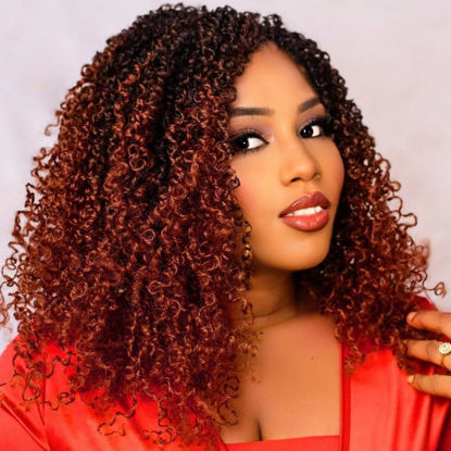Picture of Aksice 8 Packs Pre-looped Yanky Twist Crochet Hair 12 Inch 30 Strands Pre-twisted Passion Twist Crochet Braids Hair with Curly Crochet Hair Senegalese Twist Braids (1B/350#)