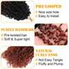 Picture of Aksice 8 Packs Pre-looped Yanky Twist Crochet Hair 12 Inch 30 Strands Pre-twisted Passion Twist Crochet Braids Hair with Curly Crochet Hair Senegalese Twist Braids (1B/350#)