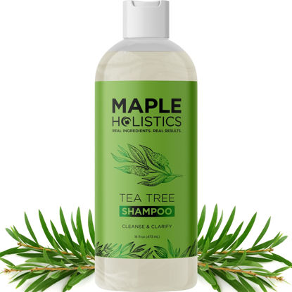 Picture of Clarifying Shampoo for Build Up & Oily Hair - Tea Tree Shampoo for Men and Women with Rosemary Essential Oil for Oily Hair and Scalp - Color Safe Vegan Sulfate Silicone & Paraben Free (16 Fl Oz)