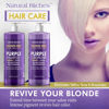 Picture of Natural Riches Purple Shampoo and Conditioner Set Sulfate Free Salon Grade for Silver Blonde Platinum Hair. Removes Yellow & Brass tones. Grey Highlighted Hair 16x2 fl oz